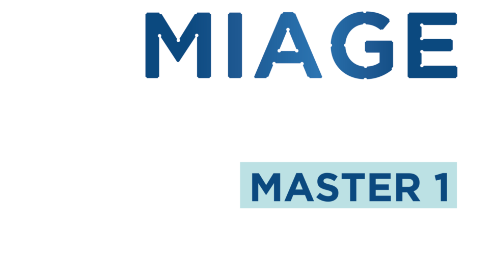 Master 1 MIAGE